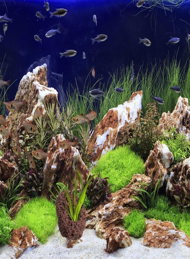 MERRYHAPY Aquarium Volcanic Rock Ornaments 6-Piece Set - Lava Rocks for Fish Tank Landscaping and Aquatic Plant Fixing - Decorative Volcanic Lava Stones with Dual Holes for Fish and Shrimp Shelter - Image 5
